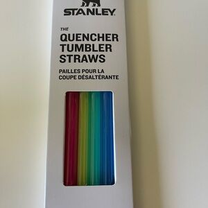 Stanley Multicolor Quencher Tumbler Straws